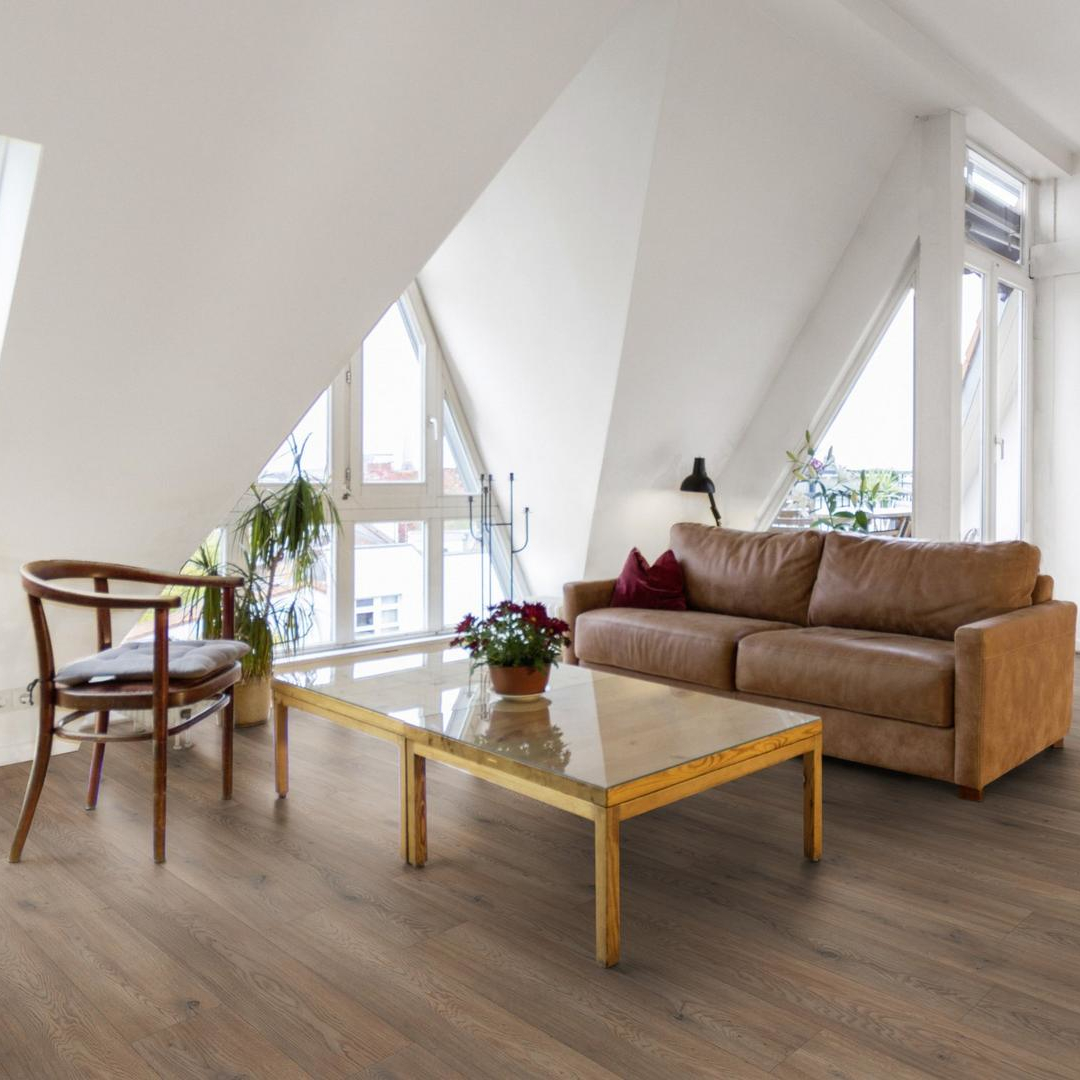 Dąb Cremona Tartufo K2773 2