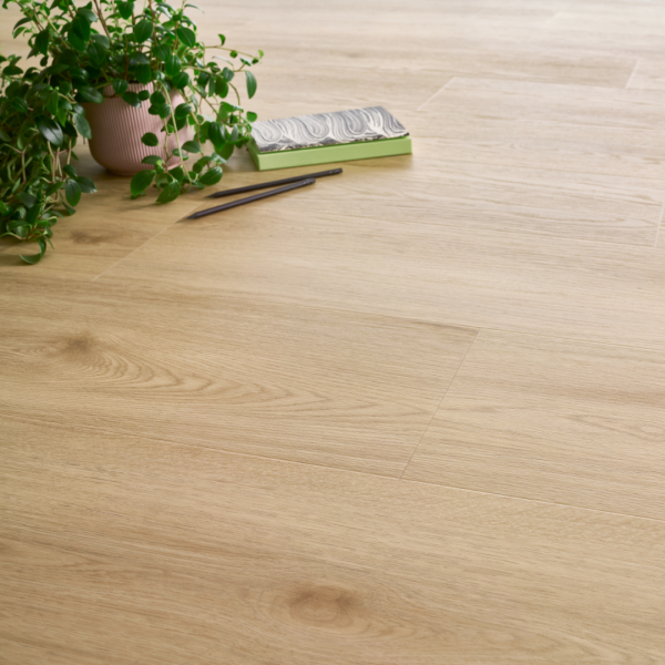 Arbiton Amaron Wood Acoustic Dąb Harlow CAA 158 3