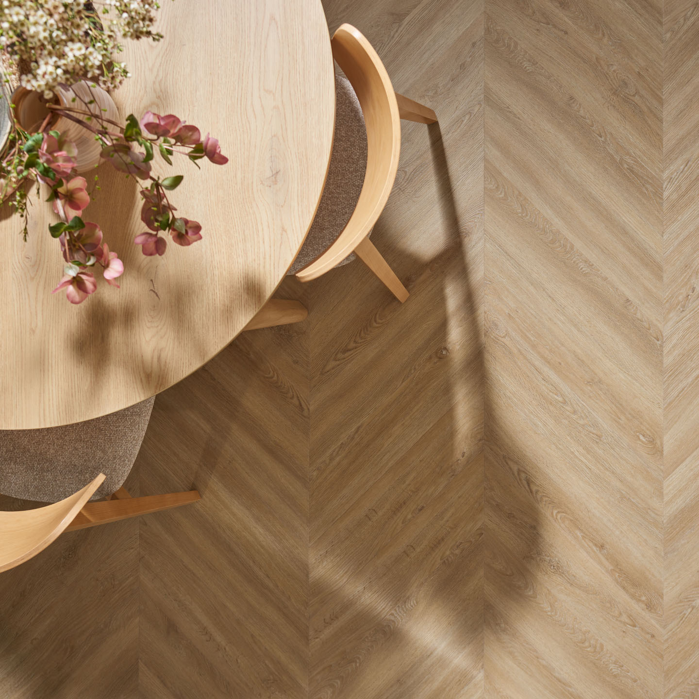 Imperia Oak 3
